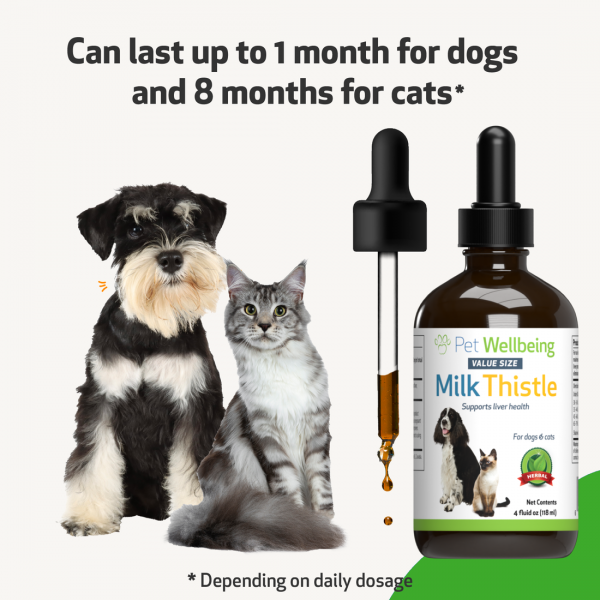 Milk Thistle (Healthy Liver Function) - Dogs