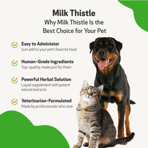 Milk Thistle (Healthy Liver Function) - Dogs