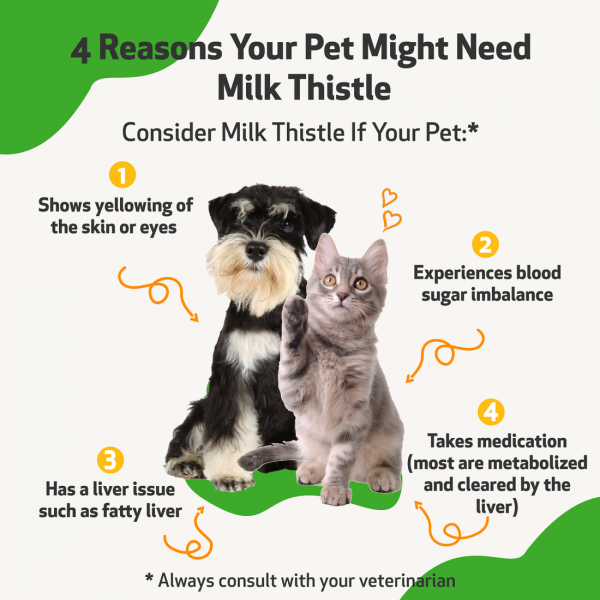 Milk Thistle (Healthy Liver Function) - Dogs
