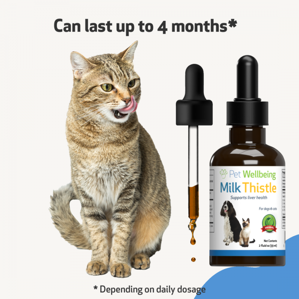 Milk Thistle (Healthy Liver Function) - Cats
