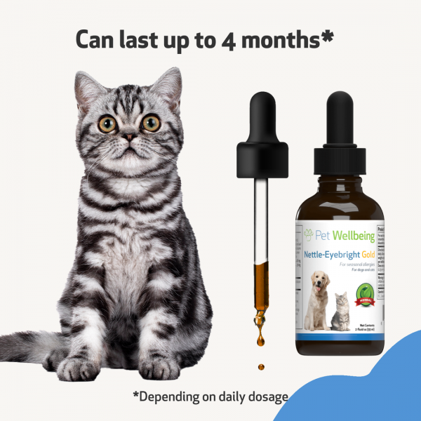 Nettle-Eyebright Gold (Seasonal Allergy Defense) - Cats