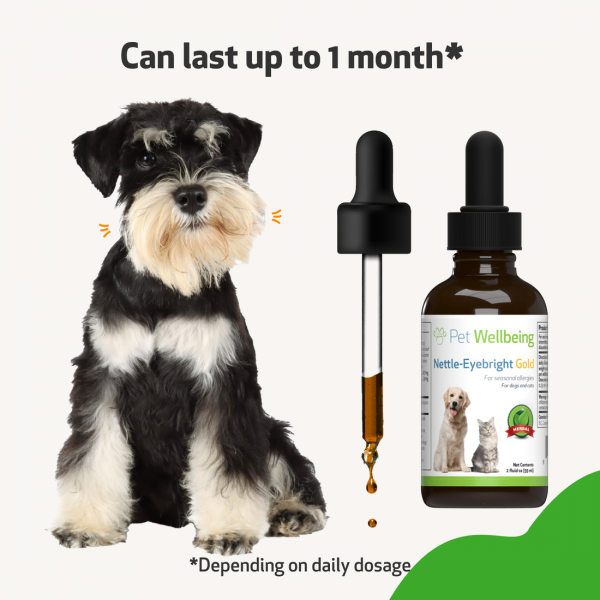 Nettle-Eyebright Gold (Seasonal Allergy Defense) - Dogs