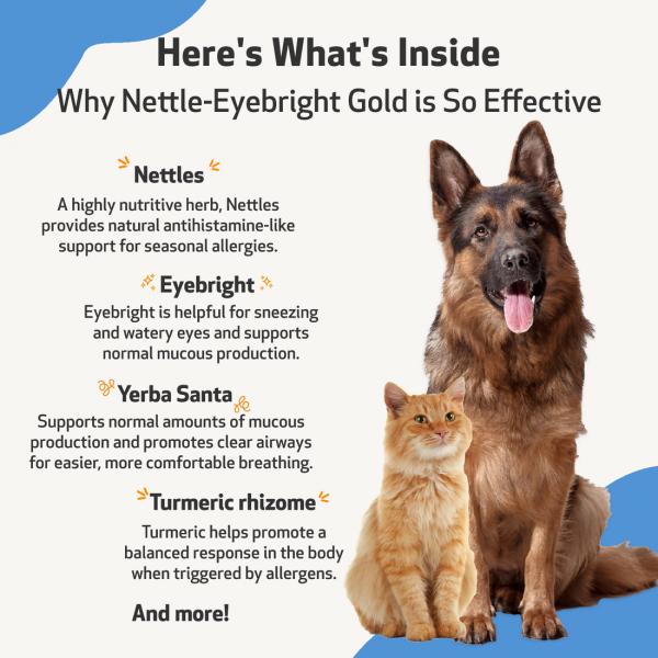 Nettle-Eyebright Gold (Seasonal Allergy Defense) - Dogs