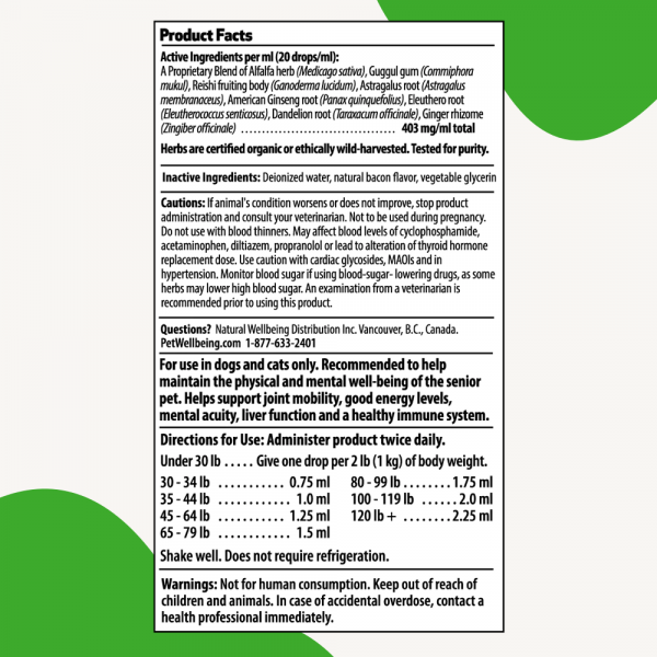 Old Friend (Senior) - Dogs