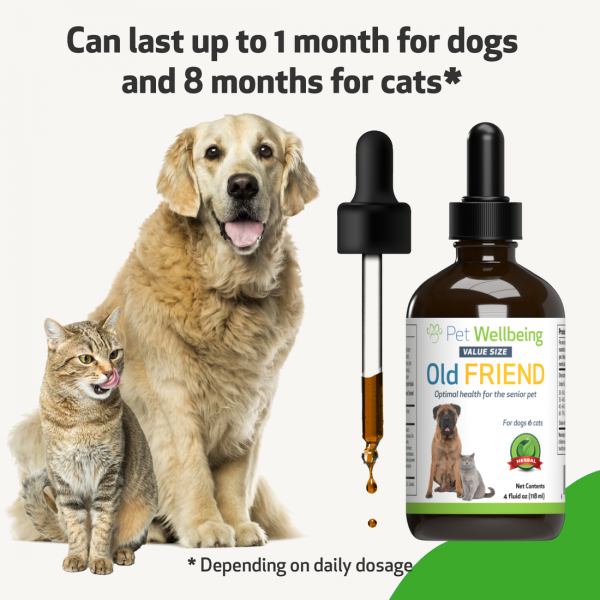 Old Friend (Senior) - Dogs