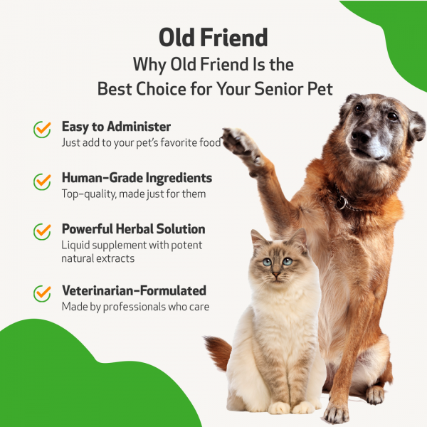 Old Friend (Senior) - Cats