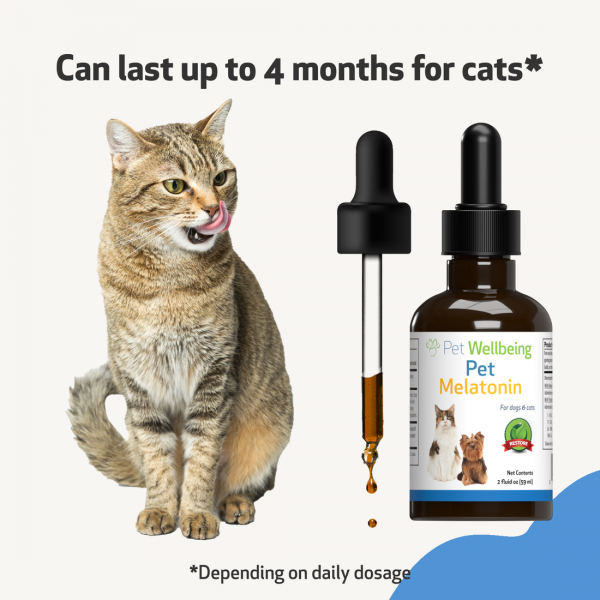 Pet Melatonin - Cats