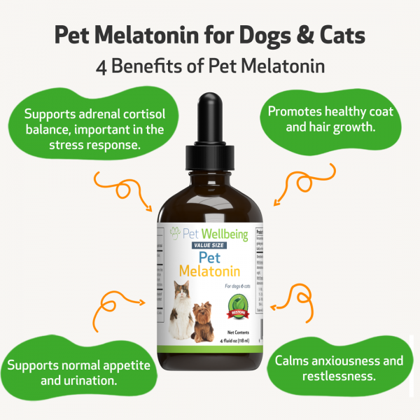 Pet Melatonin - Cats
