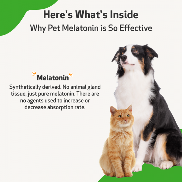 Pet Melatonin - Cats