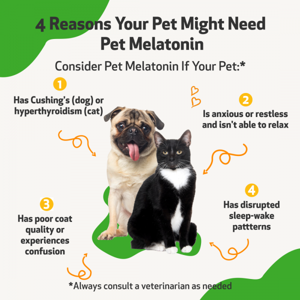 Pet Melatonin - Dogs