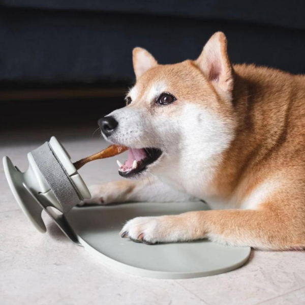 CHEWDEN Set Grip + Base