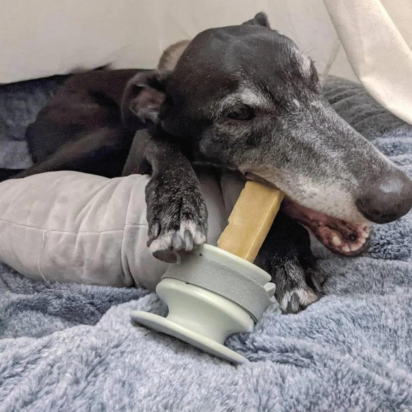 CHEWDEN Set Grip + Base