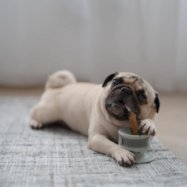 CHEWDEN Set Grip + Base