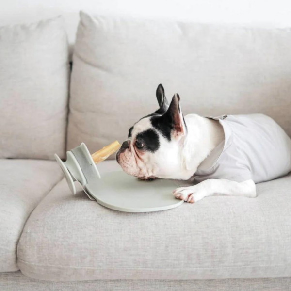 CHEWDEN Set Grip + Base