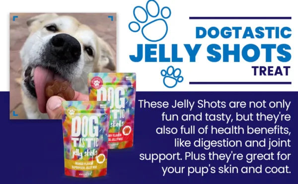 Dogtastic Jelly Shots Silicone Mold - Paw Shape