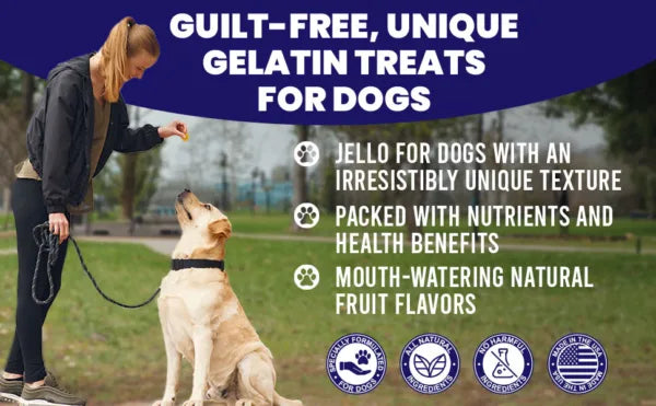 Dogtastic Jelly Shots Silicone Mold - Bone Shape