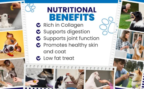 Dogtastic Jelly Shots Silicone Mold - Bone Shape