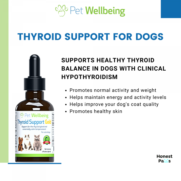 Thyroid Support Gold (Hyperthyroid) - Dogs