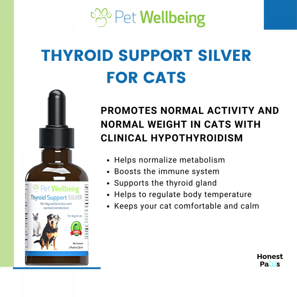 Thyroid Support Silver (Hypothyroid) - Cats