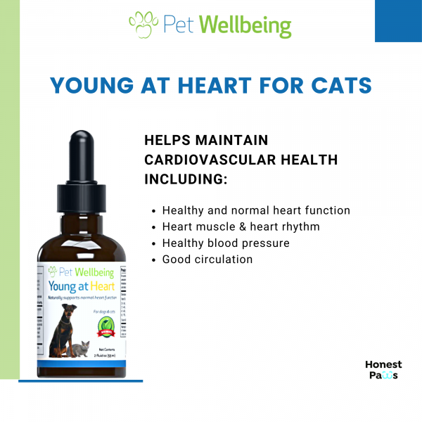 Young at Heart (Healthy Heart) - Cats