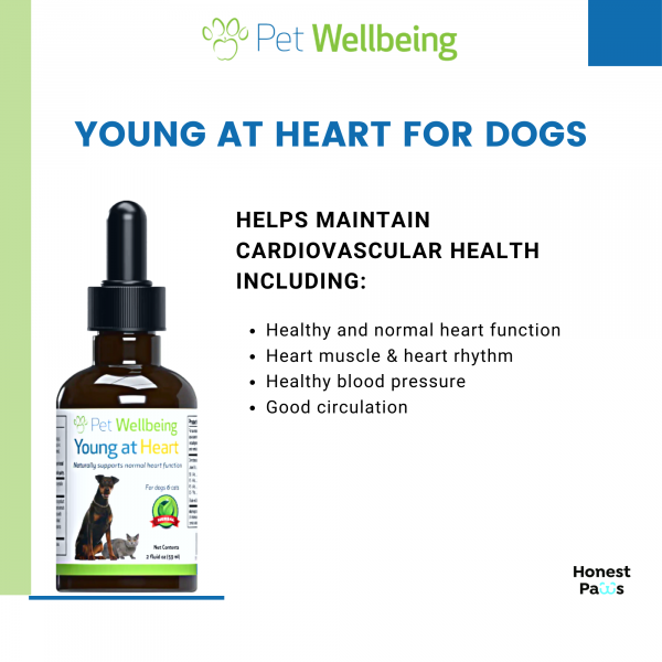 Young at Heart (Healthy Heart) - Dogs