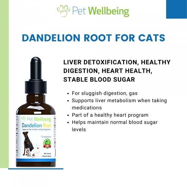 Dandelion Root (Digestive & Liver Support) - Cats