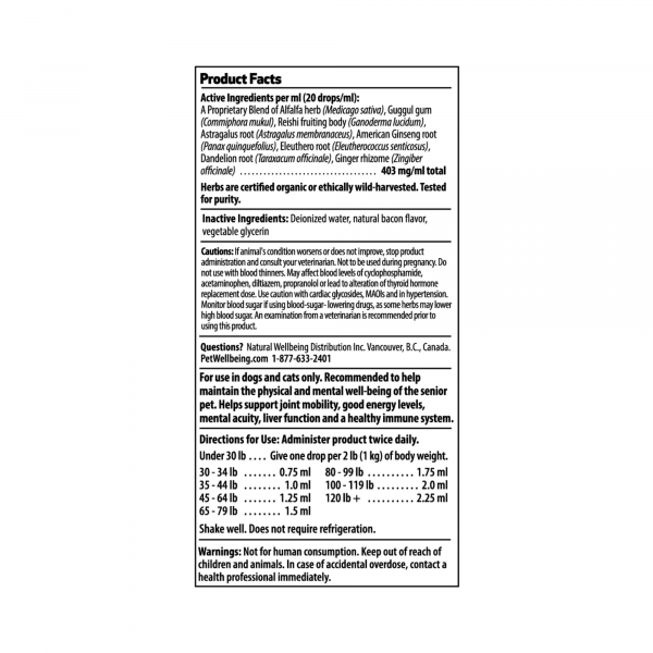 Old Friend (Senior) - Dogs