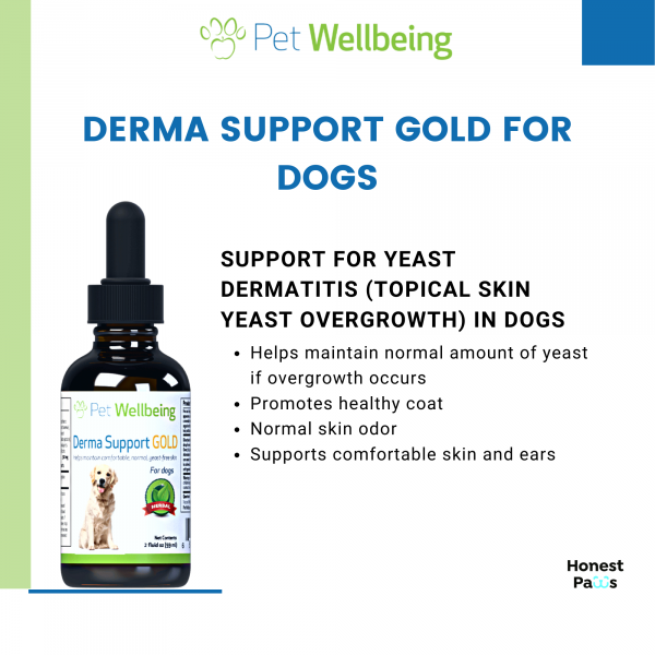 Derma Support Gold (Healthy Coat, Odor & Itching) - Dogs