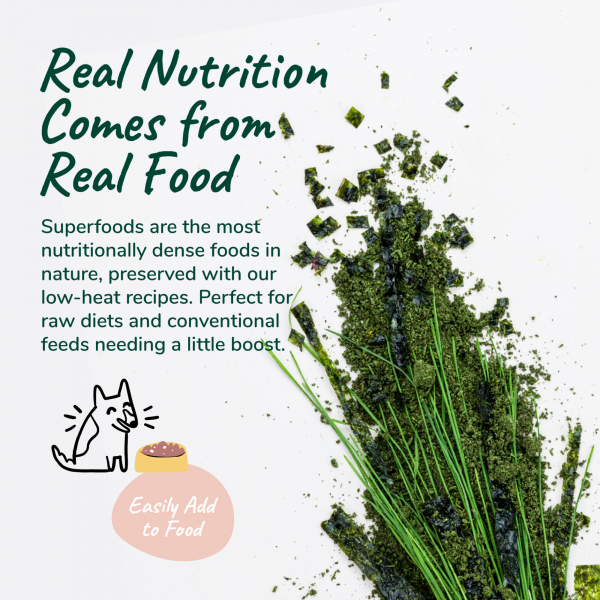 Organic Healthy Skin + Coat Supplement (Vitaboost)
