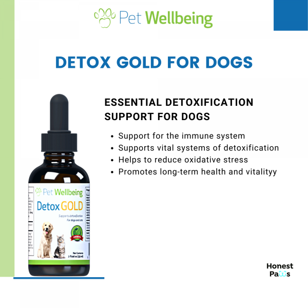 Detox Gold (Gentle Detoxification & Elimination Support) - Dogs