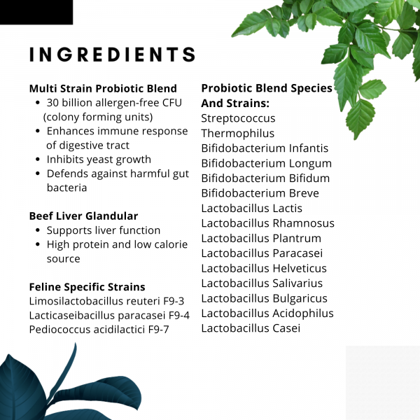 Felix's Flora (Species-Appropriate, Detox)