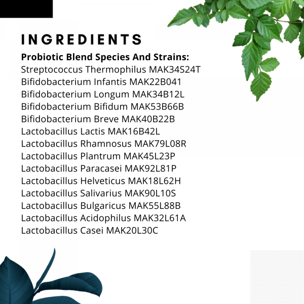 Fido's Flora Pre & Probiotic (Species-Appropriate, Detox)