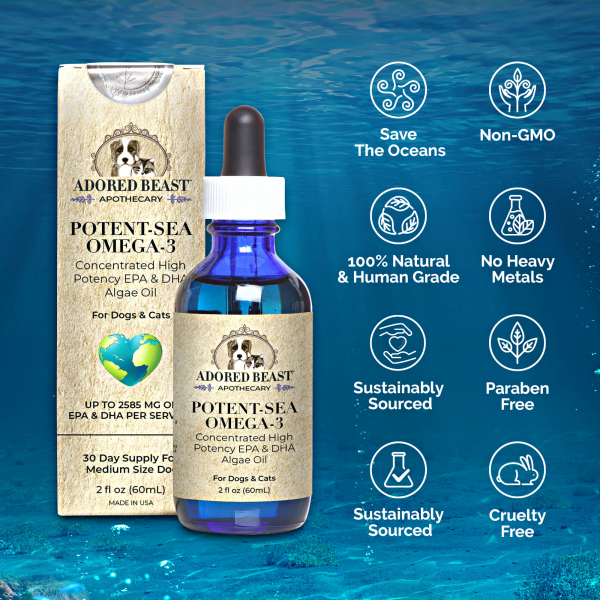 Potent Sea Omega-3 Algae Oil