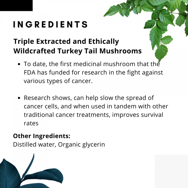 The Wolf | Species Appropriate Probiotic