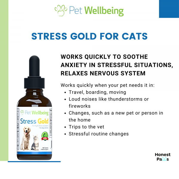 Stress Gold (High Stress Situations) - Cats
