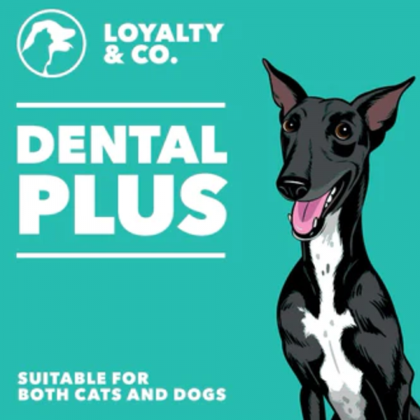 Dental Plus Supplement