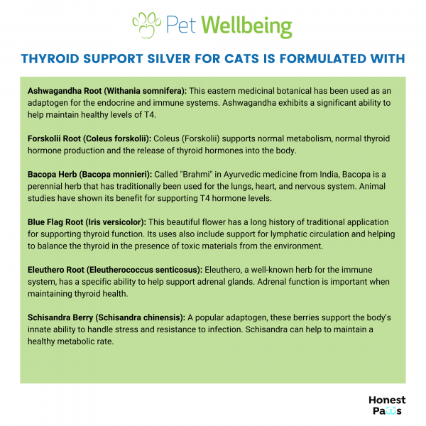 Thyroid Support Silver (Hypothyroid) - Cats