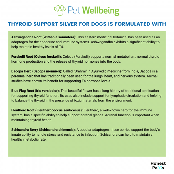Thyroid Support Silver (Hypothyroid) - Dogs