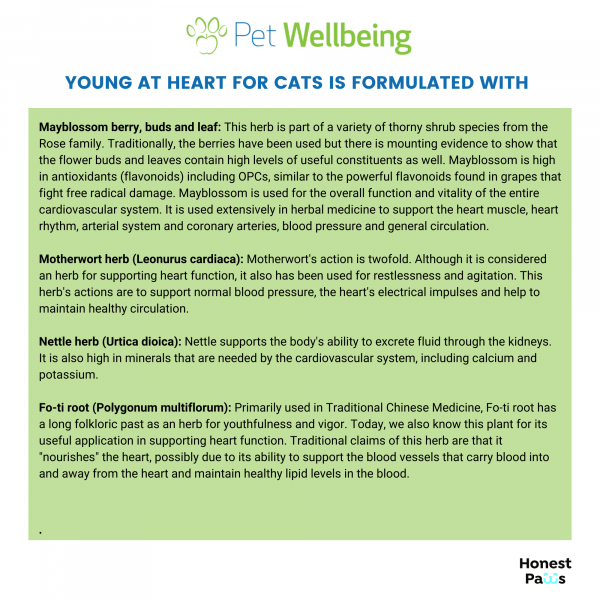 Young at Heart (Healthy Heart) - Cats