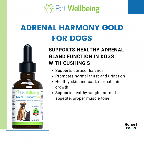 Adrenal Harmony Gold (Cushing's) - Dogs