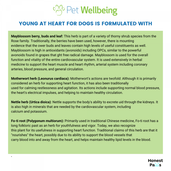 Young at Heart (Healthy Heart) - Dogs