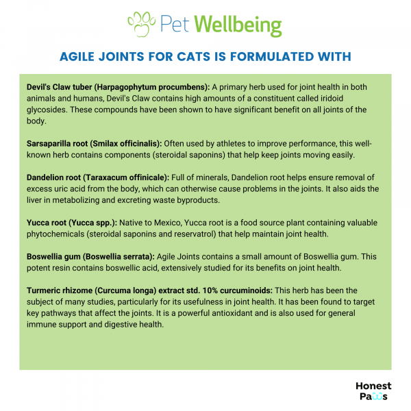 Agile Joints (Joint Mobility) - Cats