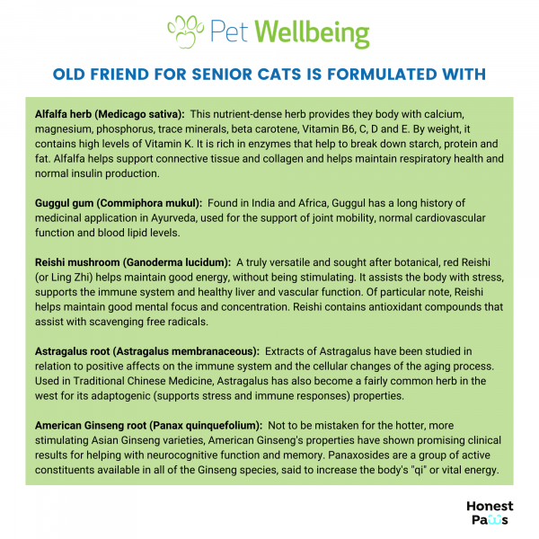 Old Friend (Senior) - Cats