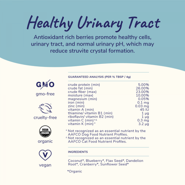 Organic Healthy Immunity (Berry Boost)