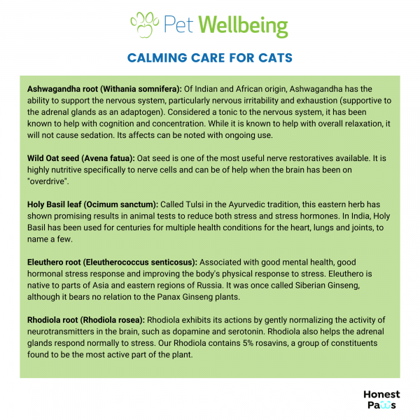 Calming Care (Anxious Behavior) - Cats