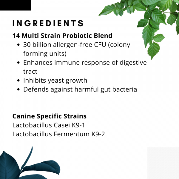 Fido's Flora Pre & Probiotic (Species-Appropriate, Detox)