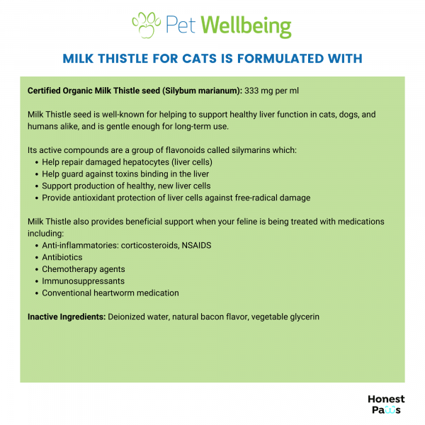 Milk Thistle (Healthy Liver Function) - Cats