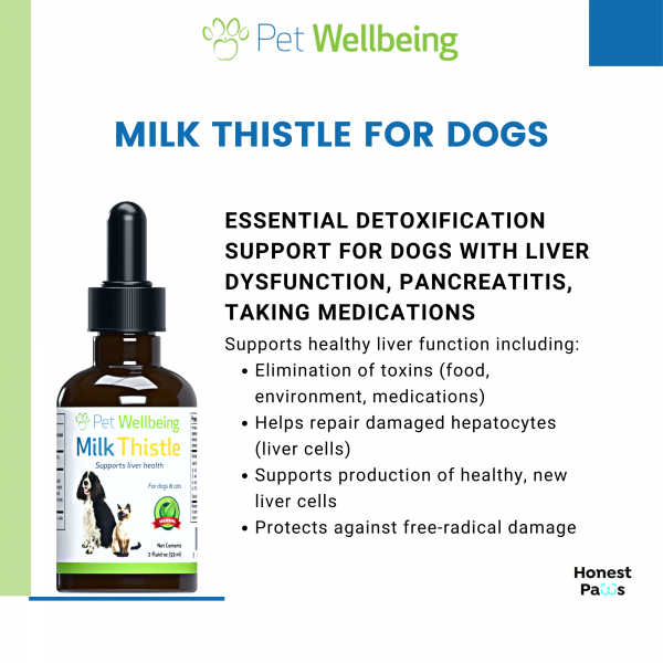 Milk Thistle (Healthy Liver Function) - Dogs