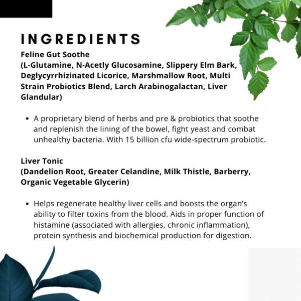 Leaky Gut Cat (5 product kit)