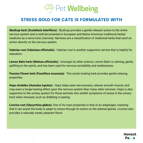 Stress Gold (High Stress Situations) - Cats